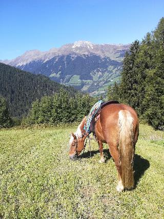 Sporthotel Kalcherhof fotoÄŸrafÄ±