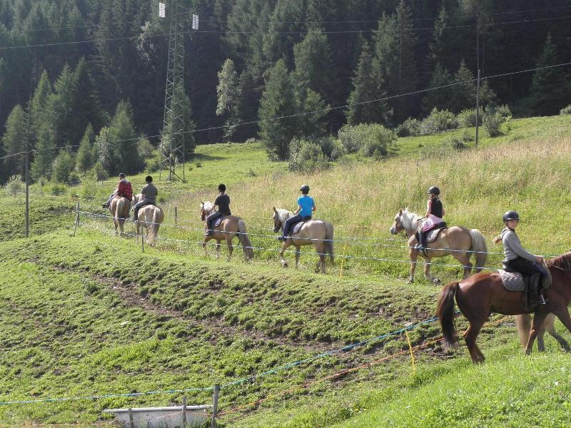 Sporthotel Kalcherhof - Aktivite