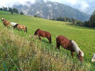 Sporthotel Kalcherhof fotoÄŸrafÄ±