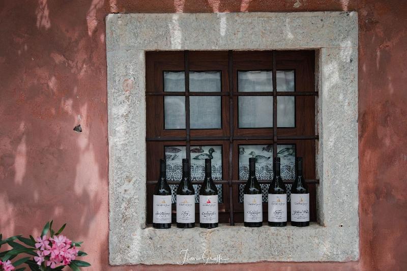 La Tavernetta Al Castello - Aktivite