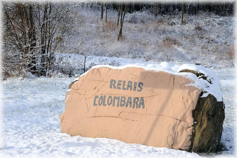 Relais Colombara Spa & Wellness - Genel