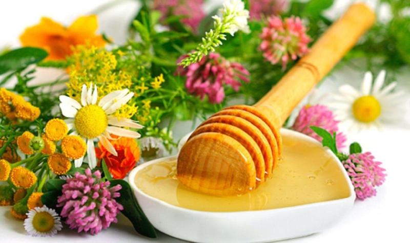 Relais Colombara Spa & Wellness - Restoran