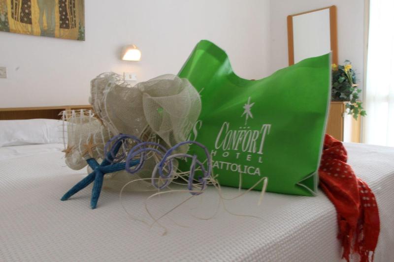 Hotel Confort - Oda