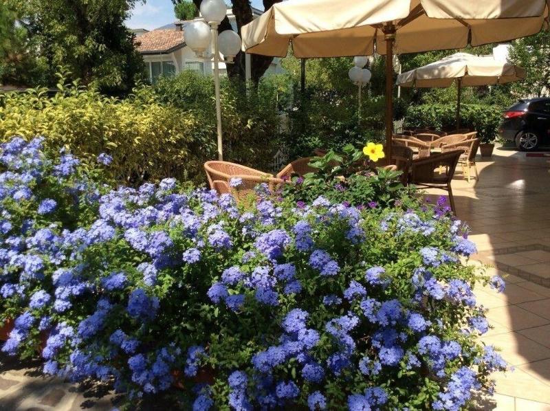 The Donatello Hotel Cesenatico - Genel