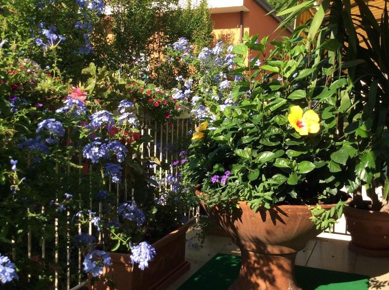 The Donatello Hotel Cesenatico - Genel