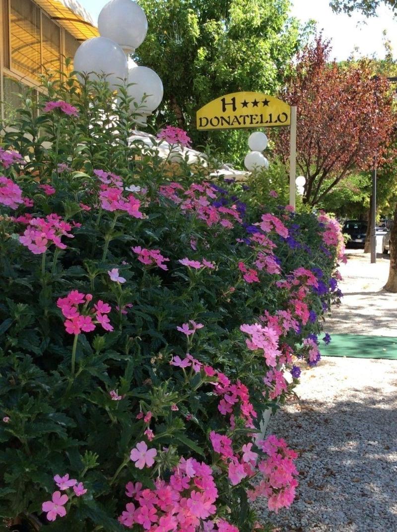 The Donatello Hotel Cesenatico - Genel