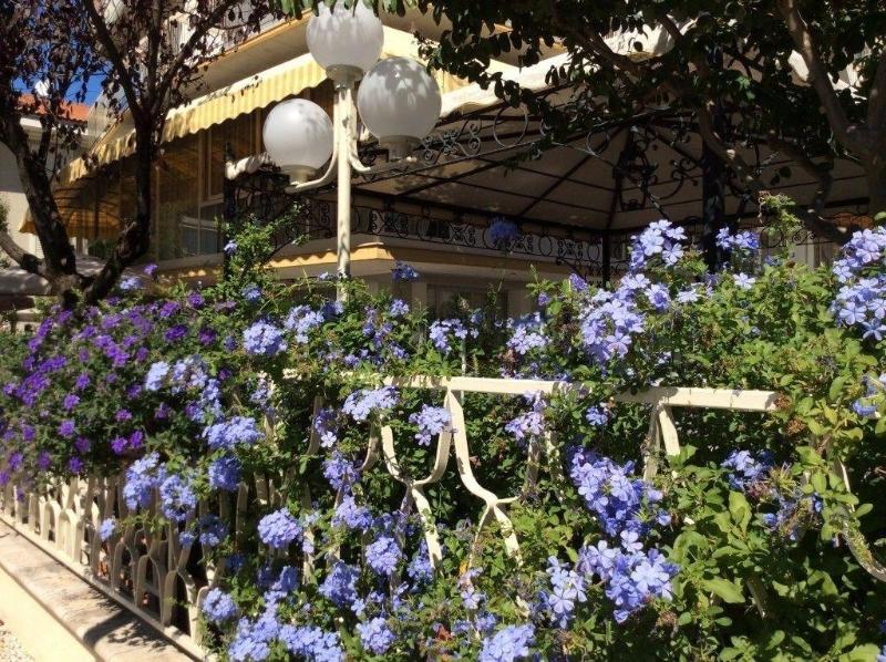 The Donatello Hotel Cesenatico - Genel