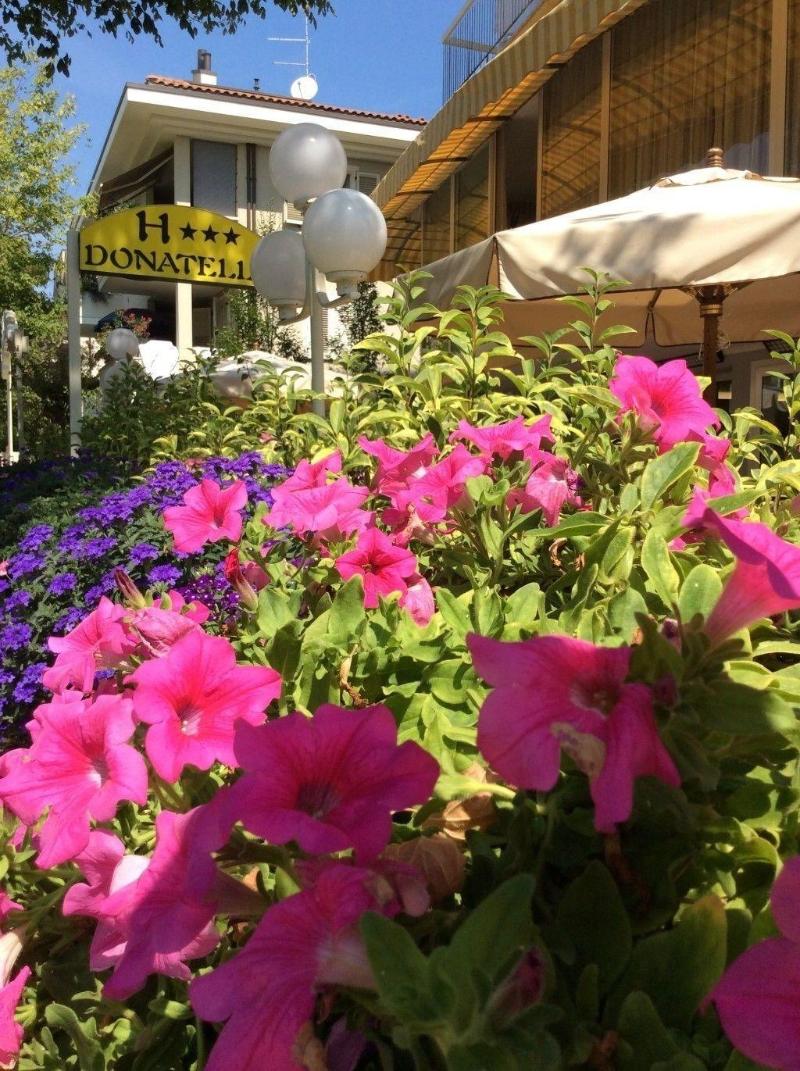 The Donatello Hotel Cesenatico - Genel