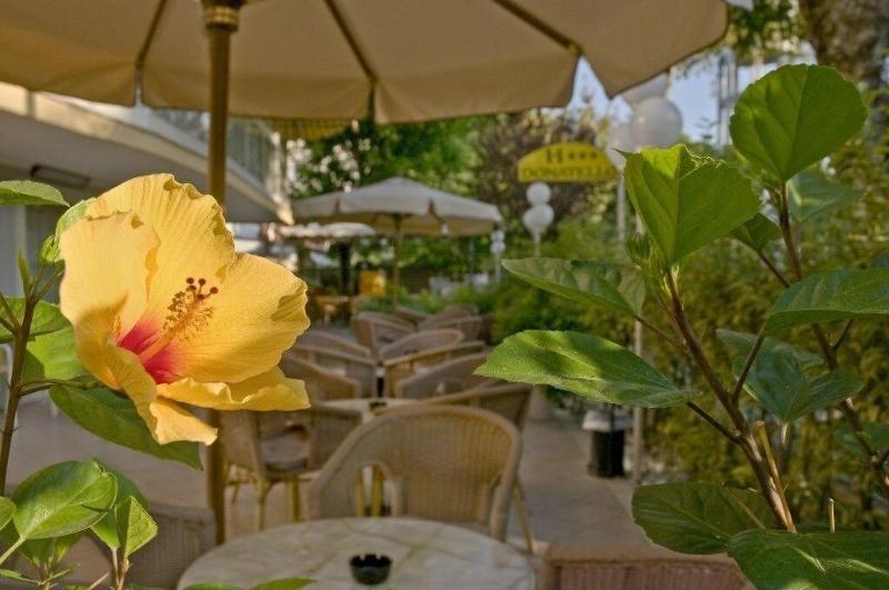 The Donatello Hotel Cesenatico - Teras