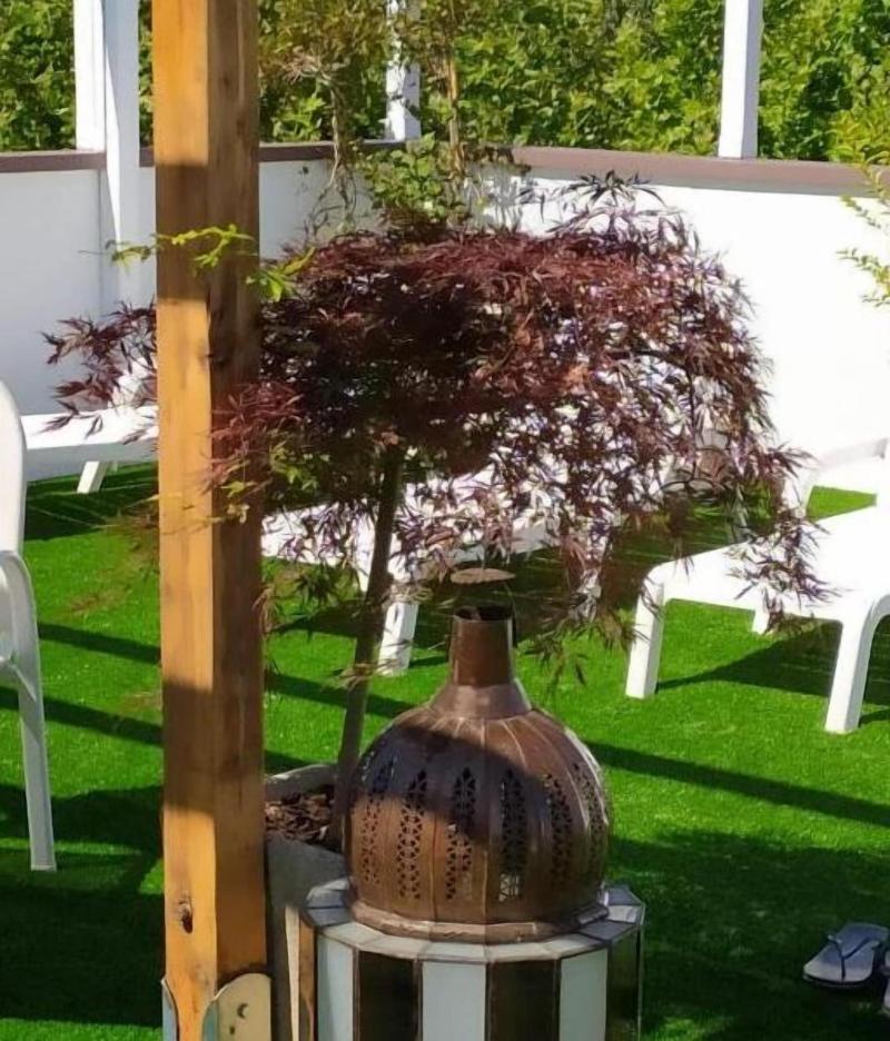 Kristalex Pet Family Hotel - Genel