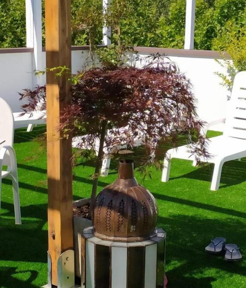 Kristalex Pet Family Hotel - Genel
