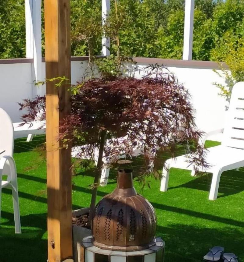 Kristalex Pet Family Hotel - Genel