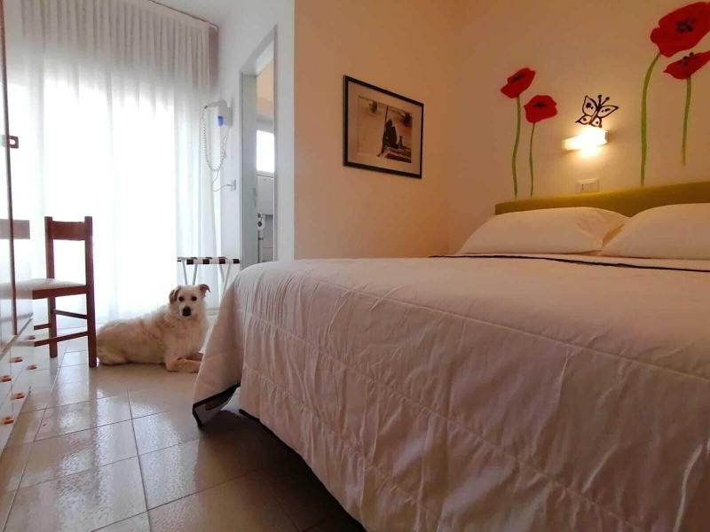 Kristalex Pet Family Hotel - Oda