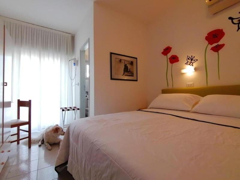 Kristalex Pet Family Hotel - Oda