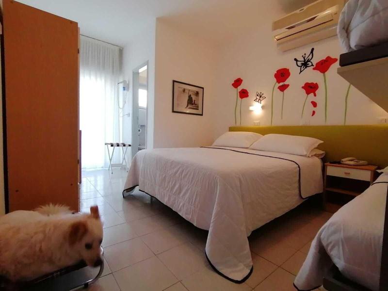 Kristalex Pet Family Hotel - Oda