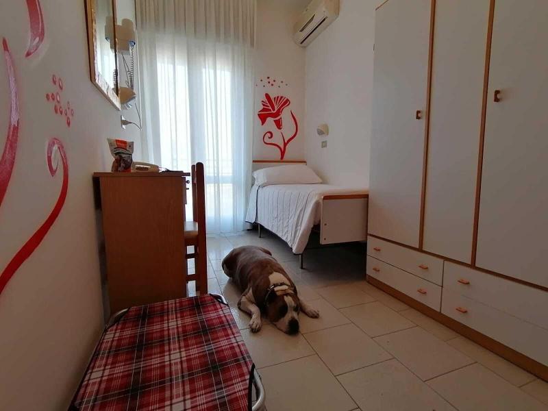 Kristalex Pet Family Hotel - Oda
