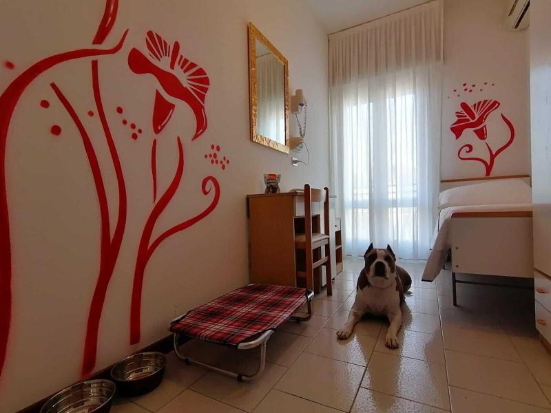 Kristalex Pet Family Hotel - Oda
