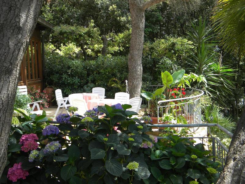 Hotel La Rosa Del Tirreno - Genel