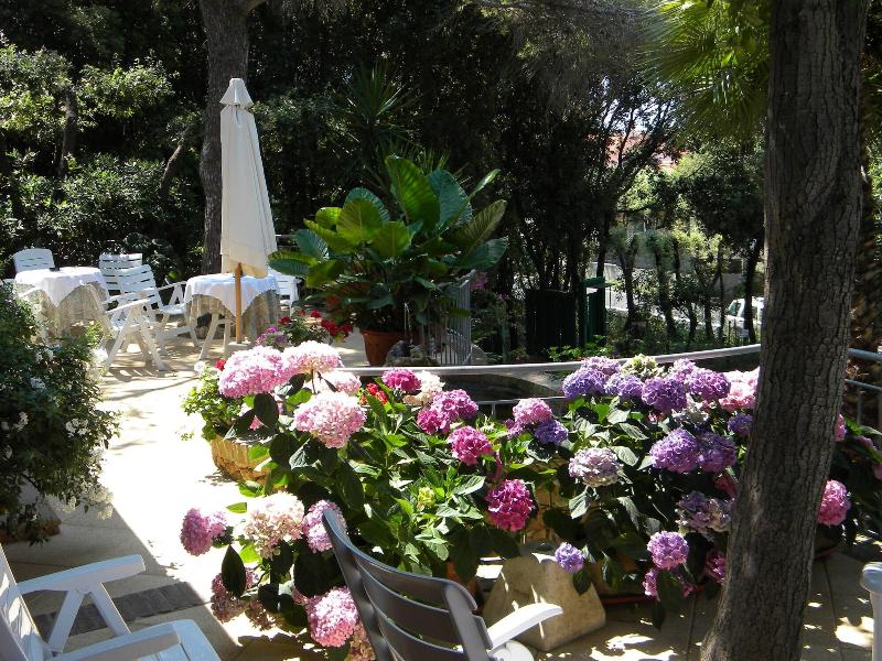 Hotel La Rosa Del Tirreno - Genel