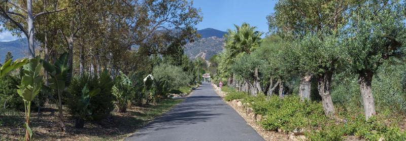 Hotel Rurale Orti di Nora & SPA - Genel