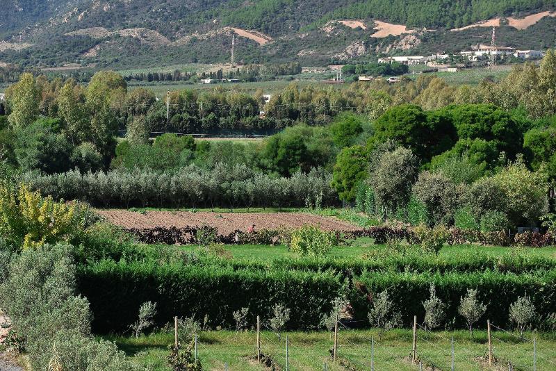 Hotel Rurale Orti di Nora & SPA - Genel
