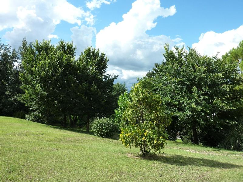 Hotel La Rocca - Aktivite