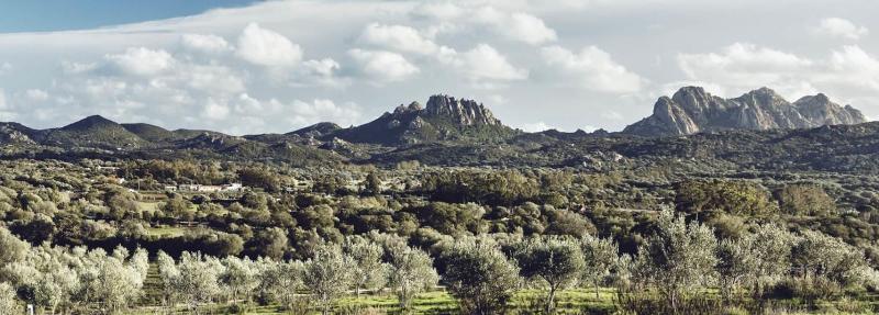 Cascioni Eco Retreat - Aktivite