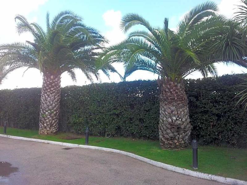 Hotel Ginepro - Genel
