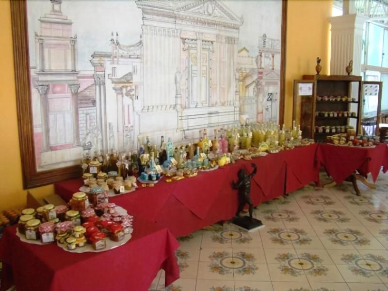 Hotel Zeus Pompei - Restoran