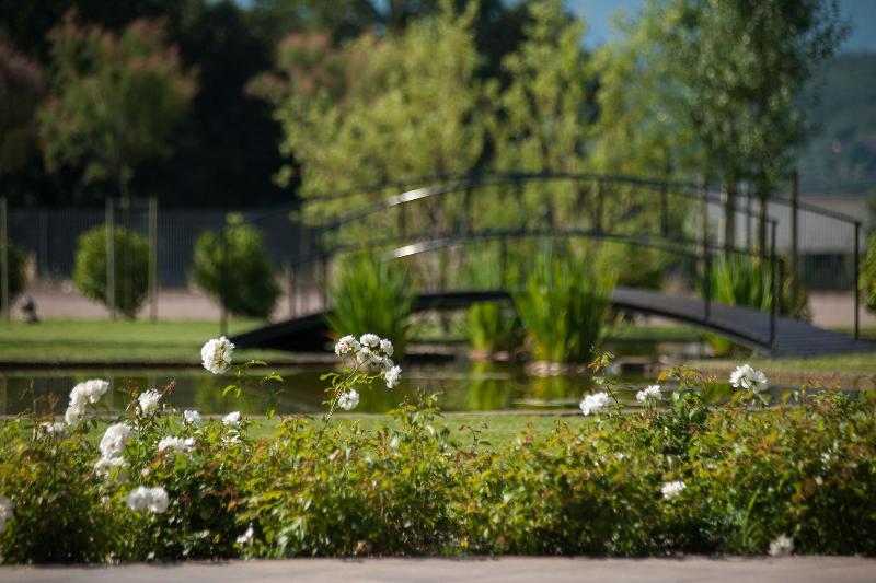 Astrea Wellness & Spa - Genel