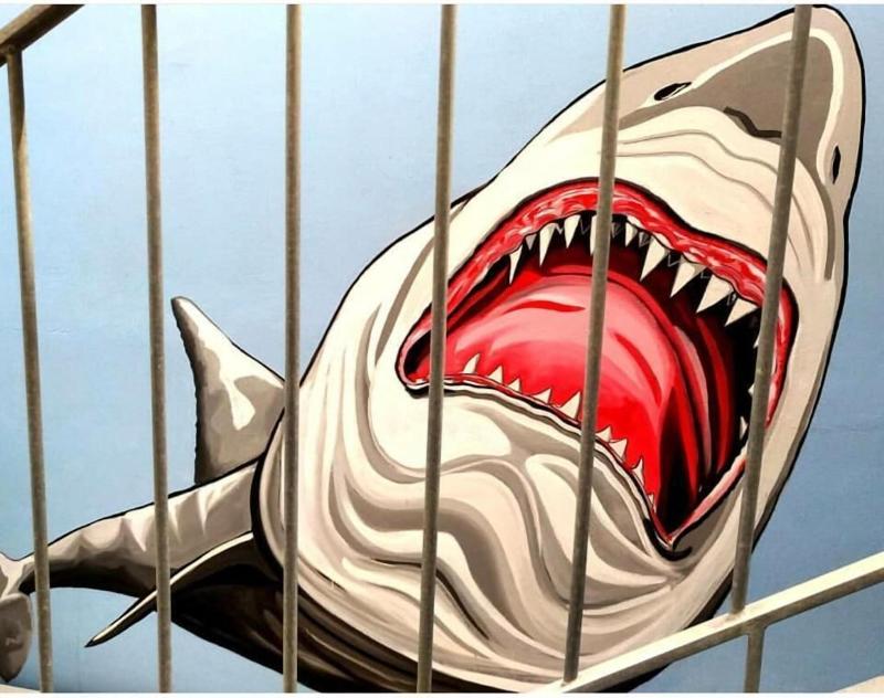 L'Angolo di Beppe - Genel