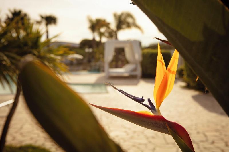 Hotel Resort Mulino A Vento - Teras