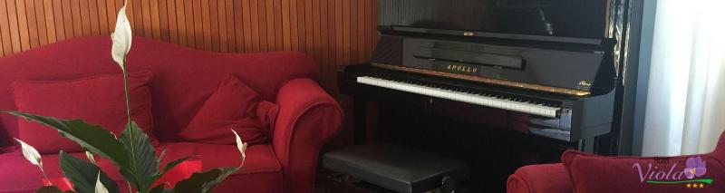 Hotel Viola - Lobi