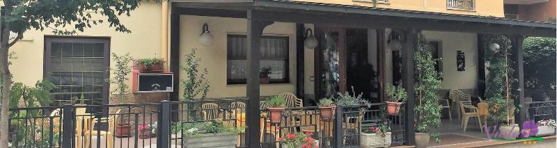 Hotel Viola - Genel