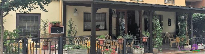 Hotel Viola - Genel