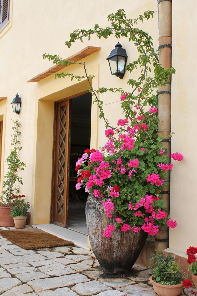 Hotel Torre Bennistra - Genel