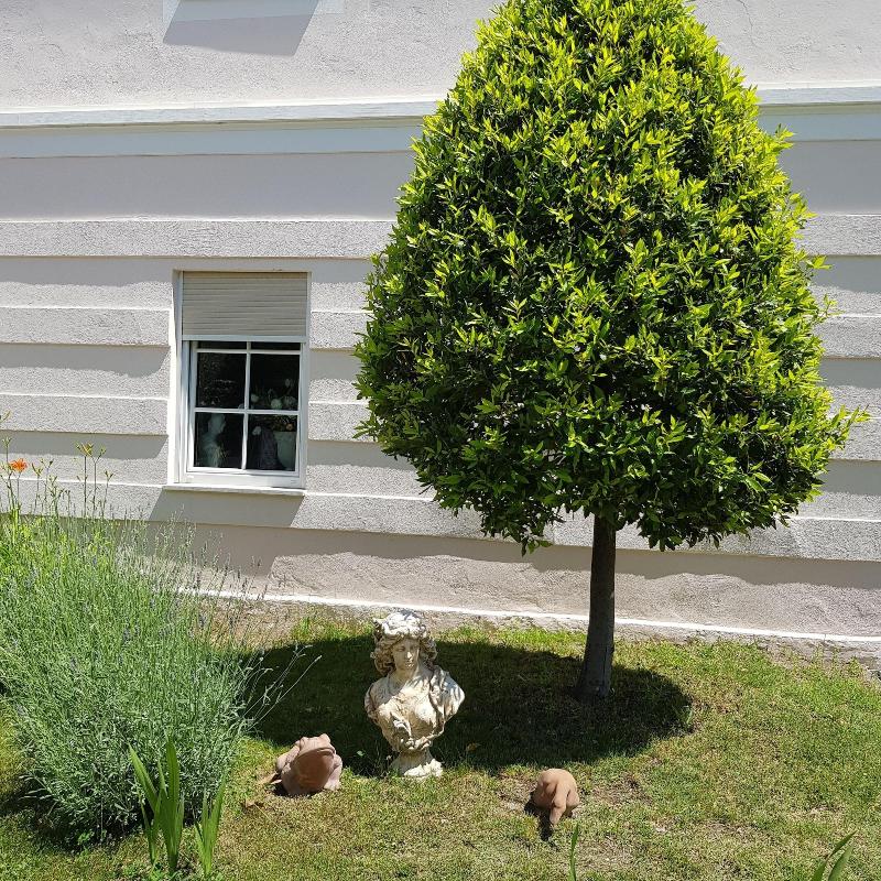 Garni Villa Tyrol (Adults Only) - Genel