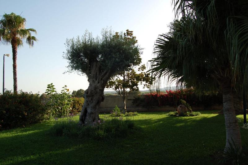 Nuovo Castello Crisilio - Genel