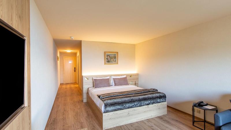 Viu Hotel Villars - Oda