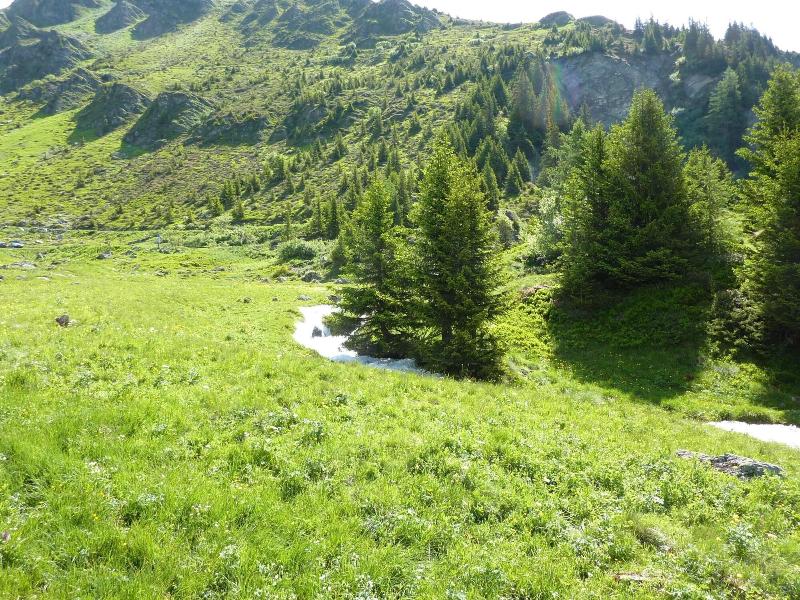 La Cordée des Alpes - Genel