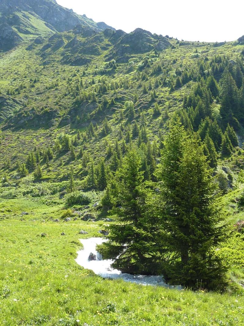 La Cordée des Alpes - Genel