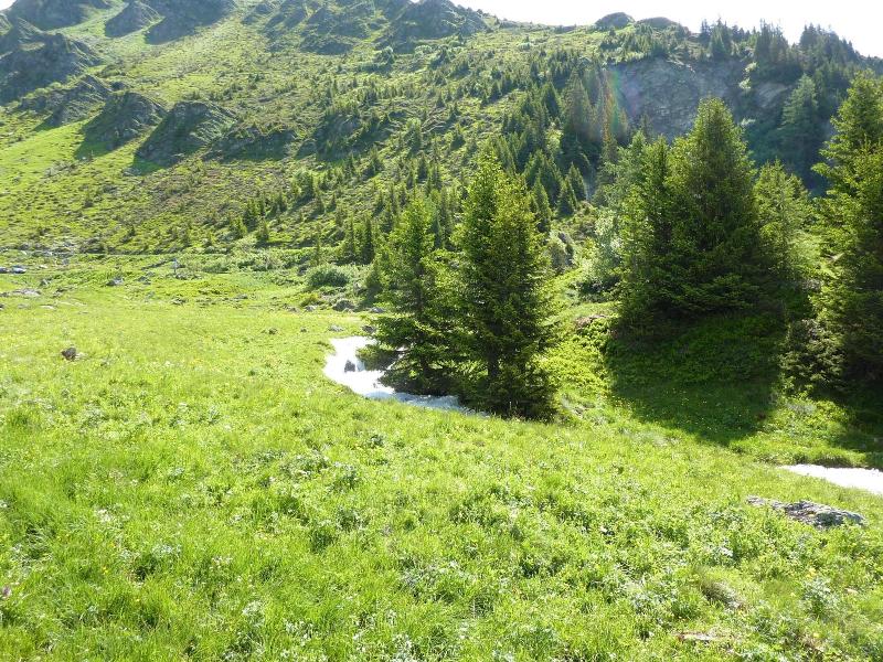 La Cordée des Alpes - Genel