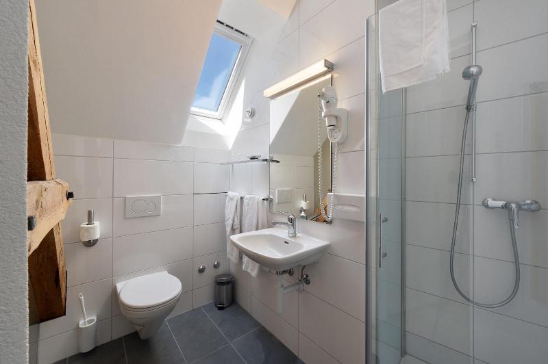 Hotel National Bern - Oda