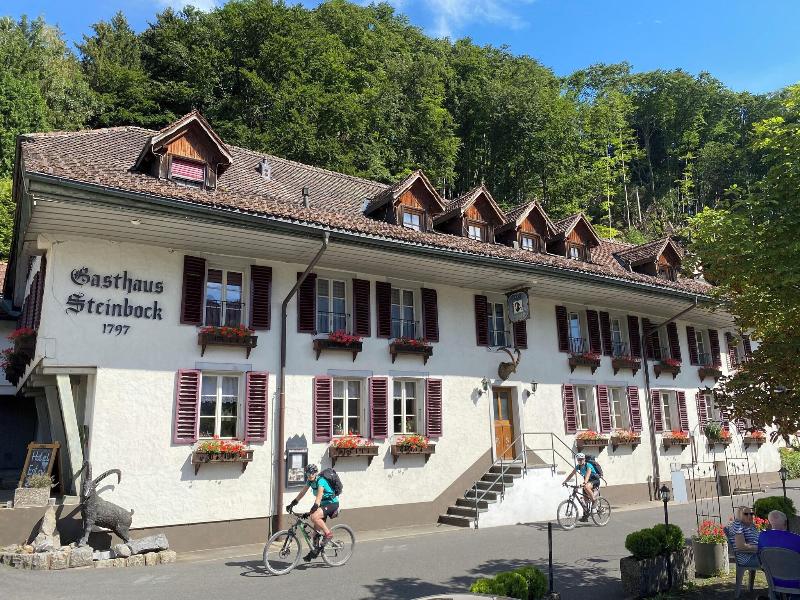 Historic Hotel Steinbock - Genel