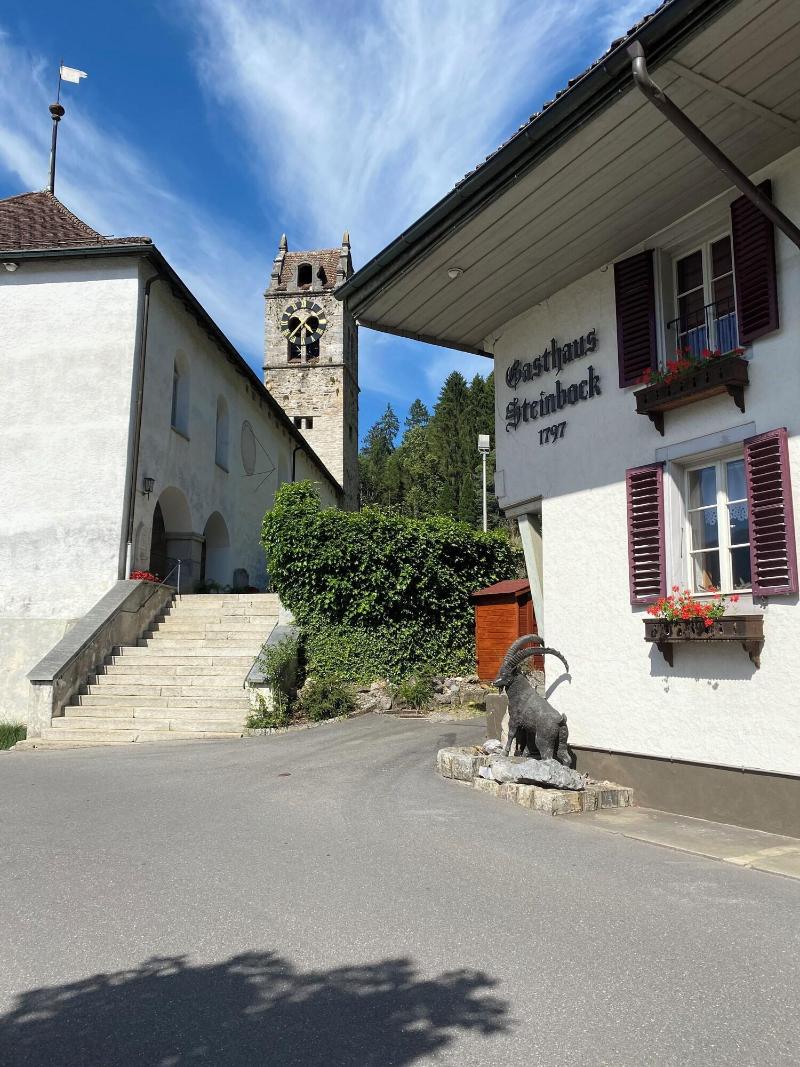 Historic Hotel Steinbock - Genel