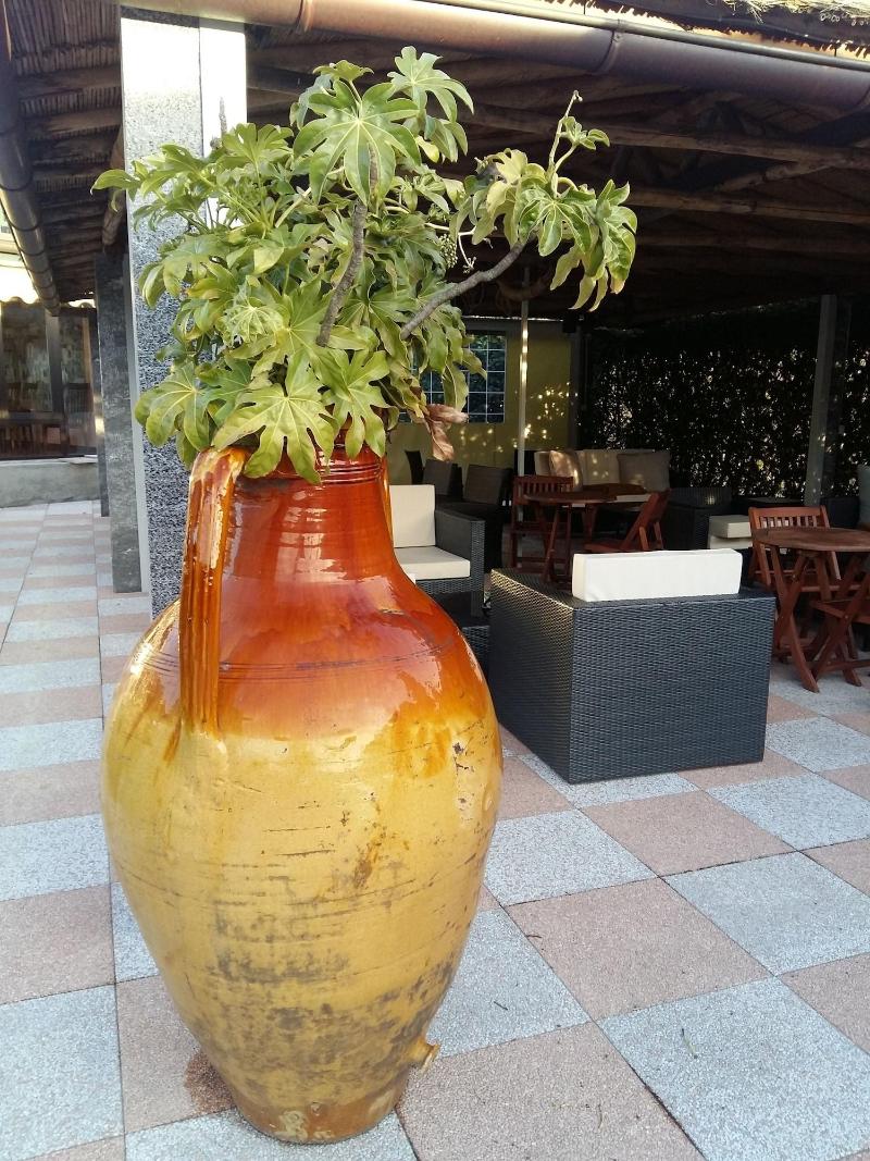 Hotel Garni Tiziana - Genel