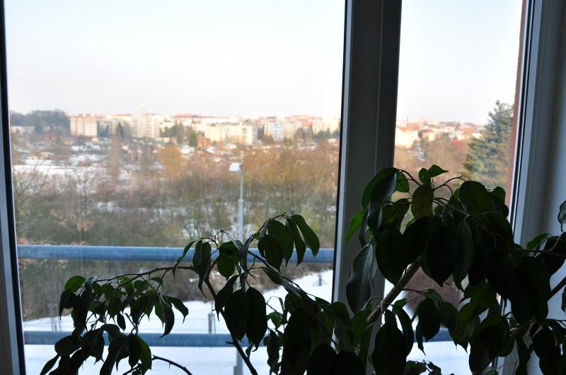 Hotel Lions Plzen - Lobi