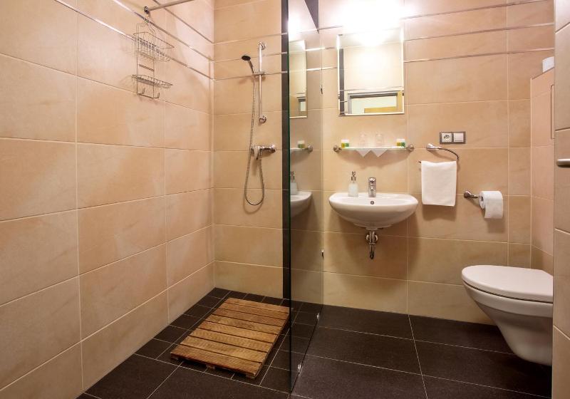 Hotel Lions Plzen - Genel