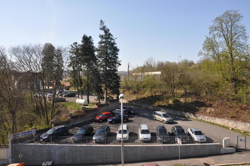 Hotel Lions Plzen - Genel