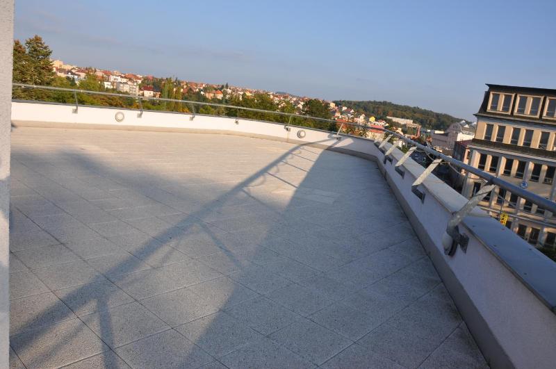 Hotel Lions Plzen - Genel